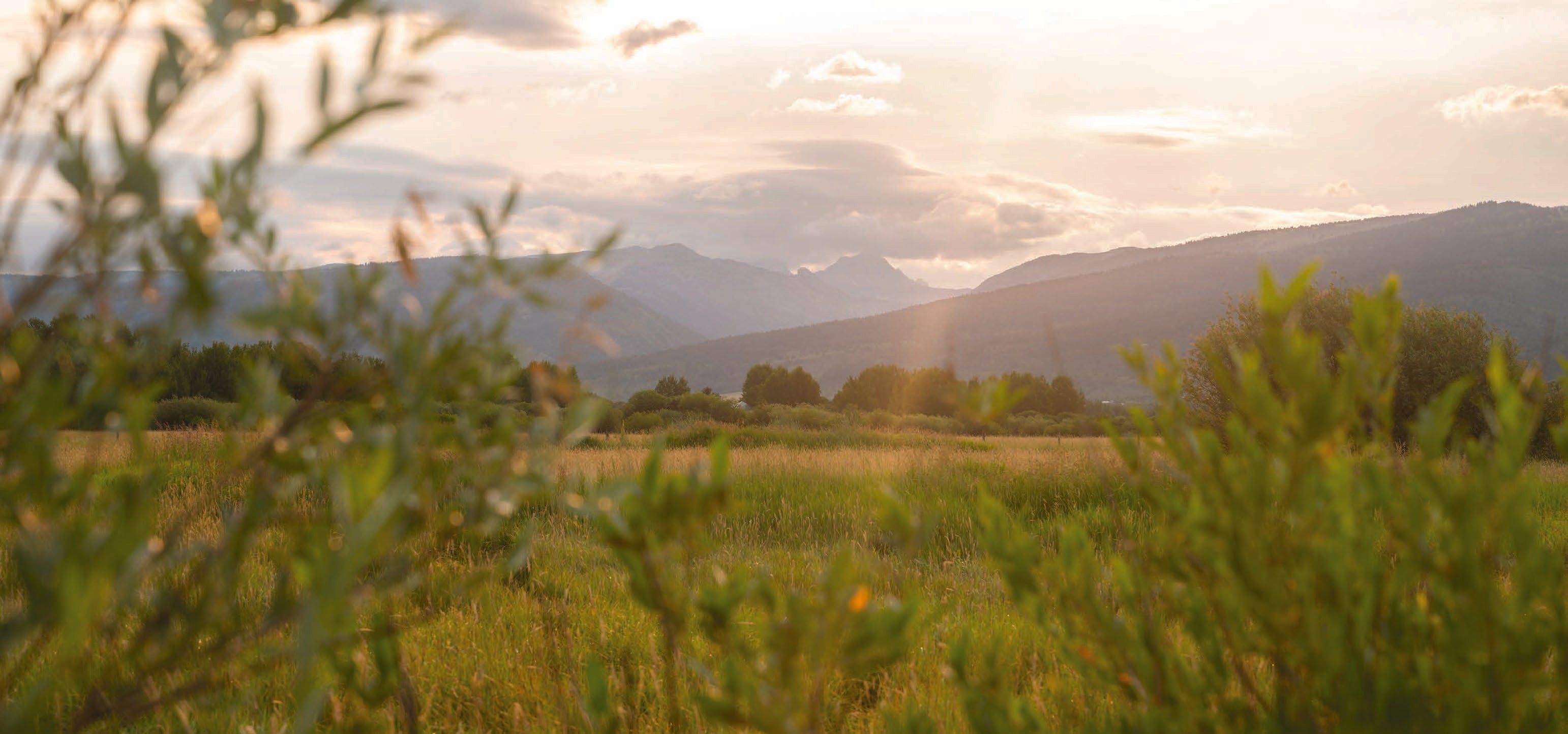 Load video: Location and land — Sandy Hessler looks out over the valley at sunset, with aerial views of the creek winding through the meadow and the Teton foothills beyond