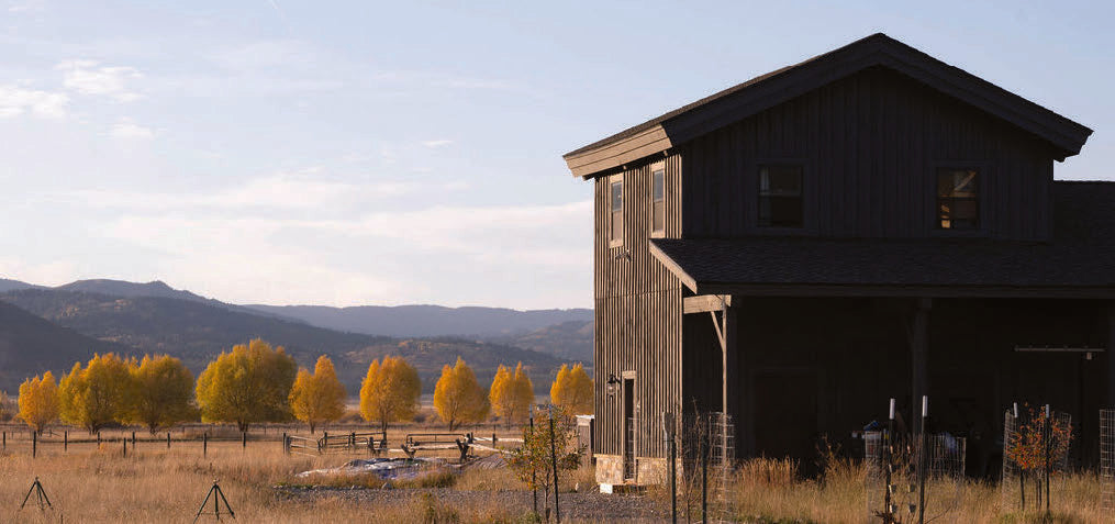 The barn at Dragonfly Lane in autumn with golden cottonwoods along the fence line