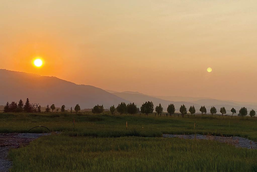 Hazy sun setting behind the mountains above an open meadow